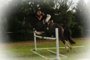 A picture of my mare, First Lady, Jackie O